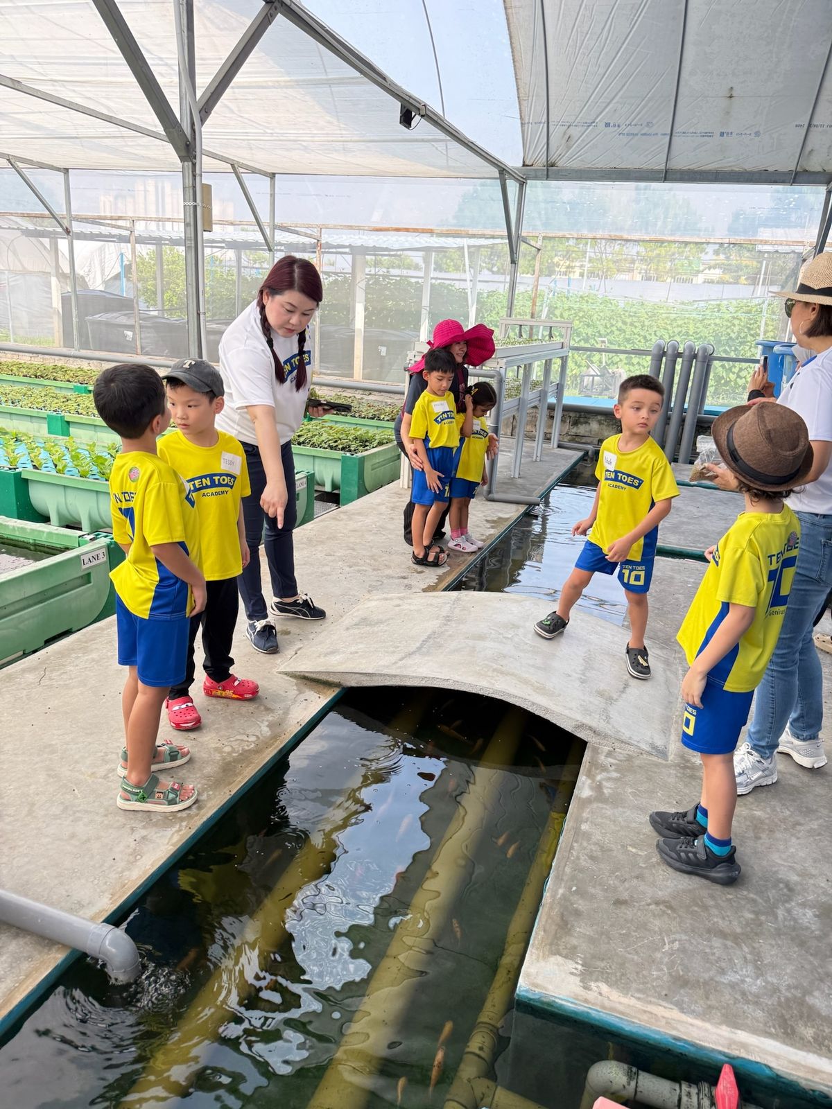 School group observing fish tanks during an Aquaville aquaponics tour